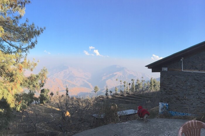 View from Astha homestay in Cheog region