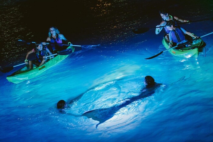 A family on a night kayaking tour meets locals dressed as mermaids in the US Virgin Islands
