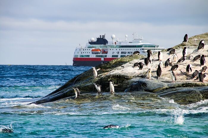 Penguins in front of an Antarctic cruise ship around the South Shetland Islands in Antarctica