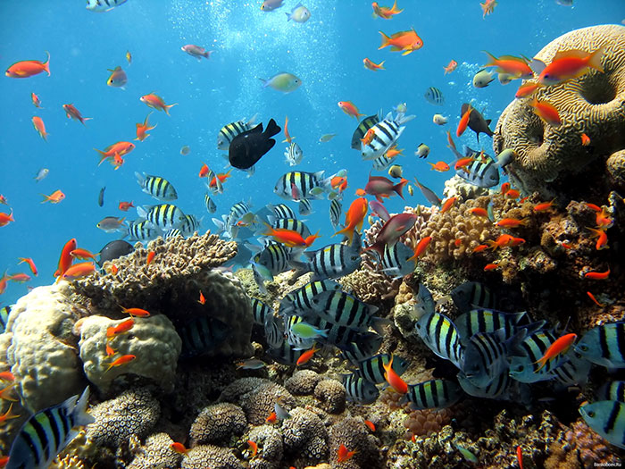 Underwater World of Singapore is the best place to visit in Pattaya