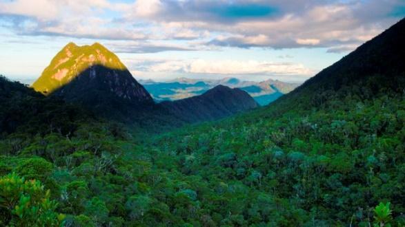 Masoala National Park covered with forest, Madagascar
