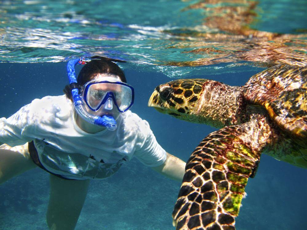 Discover Colorful fishes and turtles while Scuba Diving in Seychelles