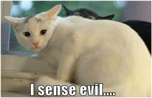 isenseevil