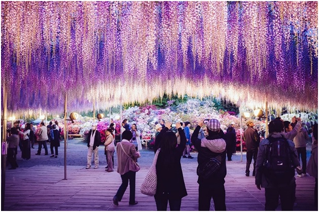japan