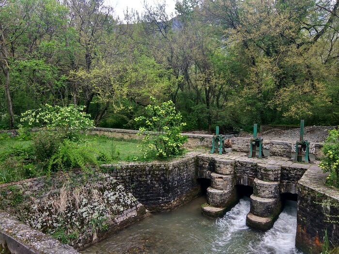 Dachigam_National_Park-_Jammu_&_Kashmir