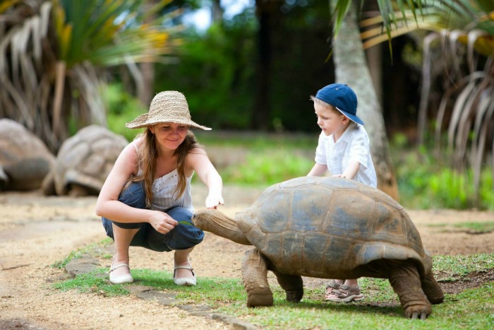 Crocodile & Giant Tortoises Park in Mauritius