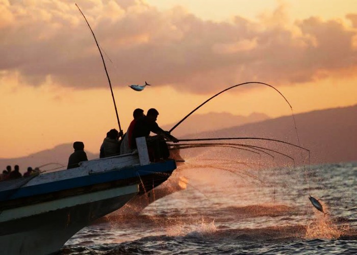 Night Fishing in Maldives Island