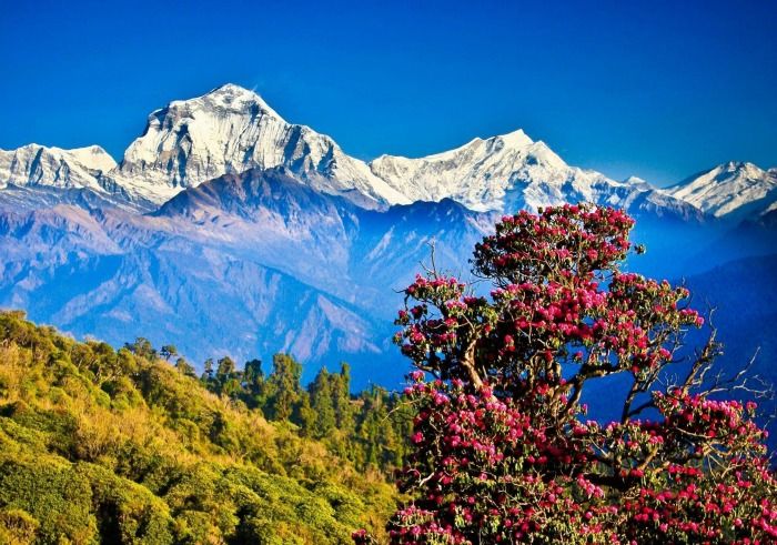 Scenic views, peacefully spiritual atmosphere and fresh air in Pokhra Nepal