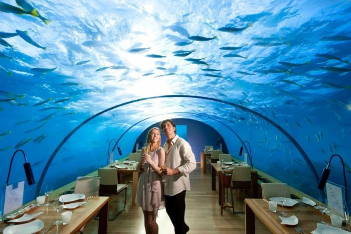 Enjoy a spectacular dinner at the Ithaa underwater aquarium restaurant