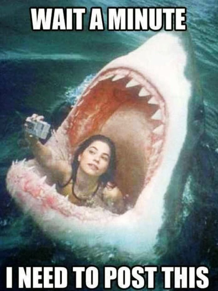 14 Most Crazy Selfies You Should Never Be A Part Of