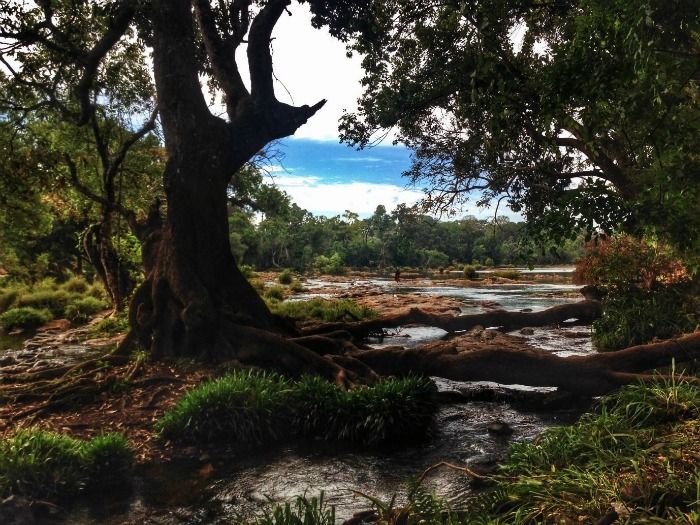 Romantic weekend getaway near Bangalore- Coorg