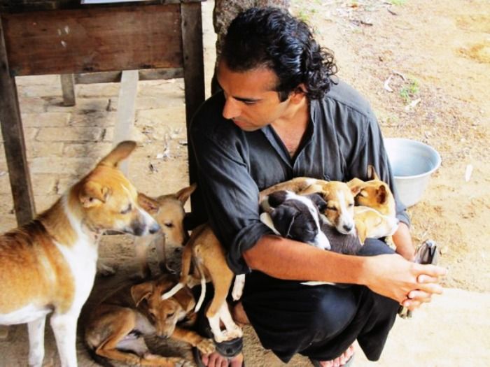 A man feeding stray dogs in Delhi