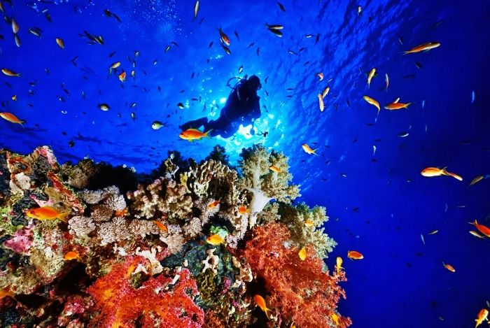 Scuba diving near Active Volcano in Barren Island