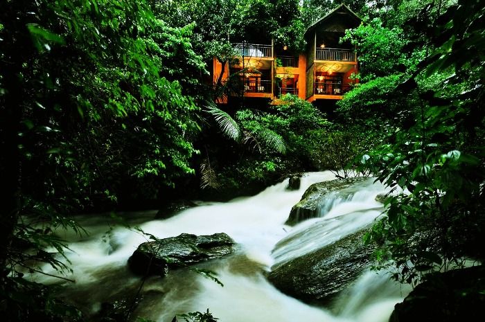 The Tree House at the Vythiri Resort in Wayanad