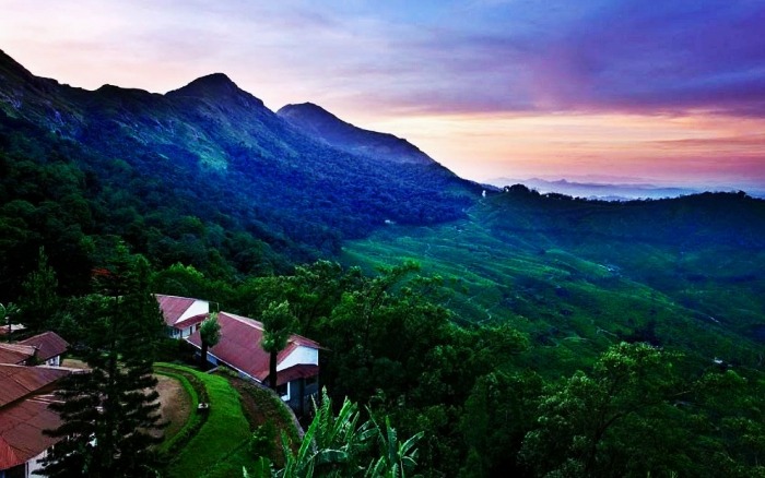 Windermere Estate in Munnar