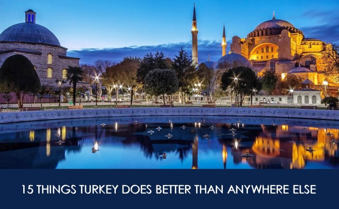 turkey