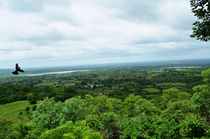 The dense forest of the hills can enchant you to unravel its mysteries