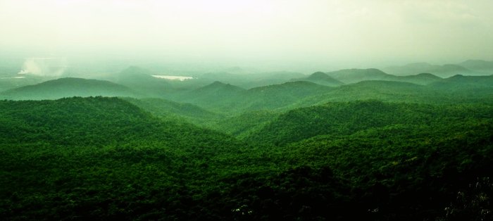 BR hills is an amazing weekend picnic spot near Bangalore ideal for trekkers