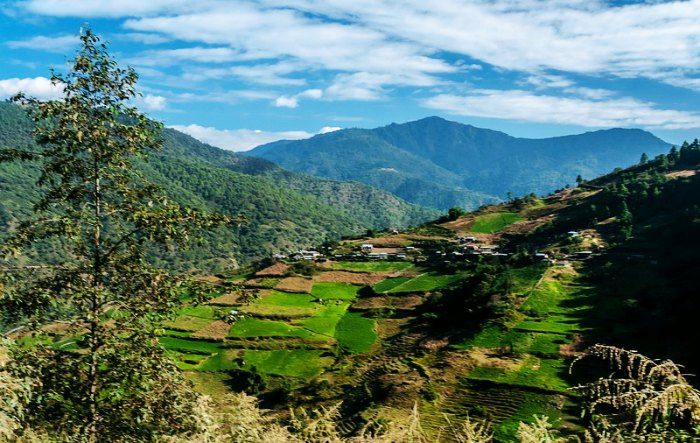 Bomdila is amongst the unexplored hill stations in North East India