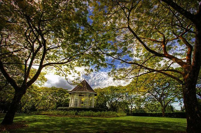 Botanic Gardens in Singapore