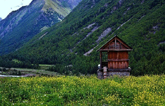 Chitkul himachal