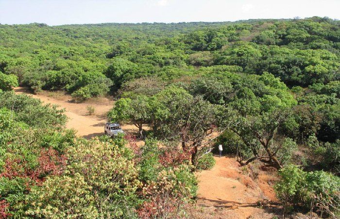 Dajipur is a perfect picnic spot near Pune for families with Children