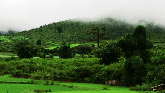 Beautiful valleys, coffee gardens, pine jungles and lots of scenic beauty