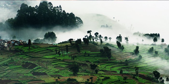The gorgeous backdrop and the enchanting view of the Kodaikanal