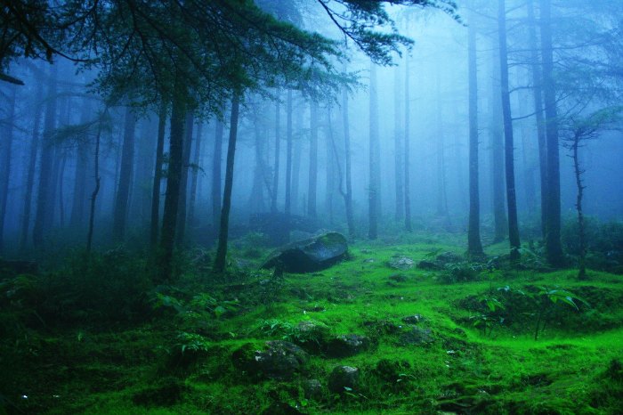 Lambasgini is a popular hill station in India in summers