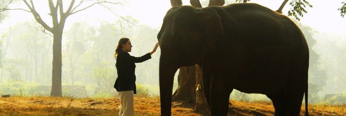 Madikeri is a quaint hill station near Chennai