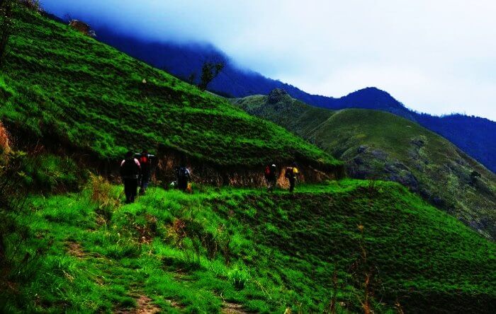 Meghamalai in Tamil Nadu