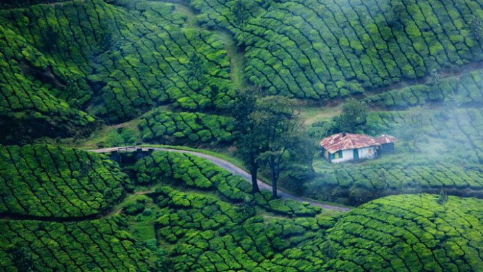 The hilltop destination has beautiful climate, tea gardens and stunning locations.