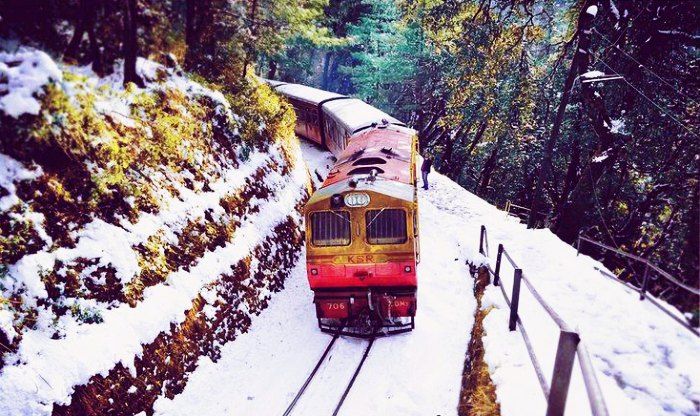 Colorful toy train making its way through the verdant valleys in Shimla