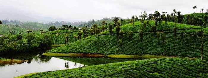 Valparai is a mesmerizing hill station in Tamil Nadu