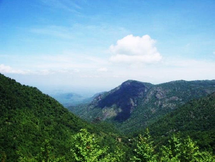 Yercaud in Tamil Nadu