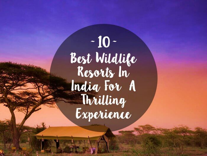 wildlife-resorts-india-cover