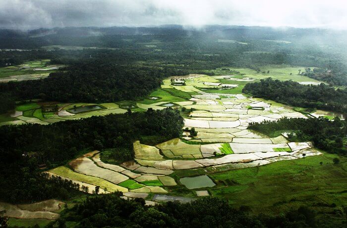 Coorg is one of the best places to visit in India during monsoons