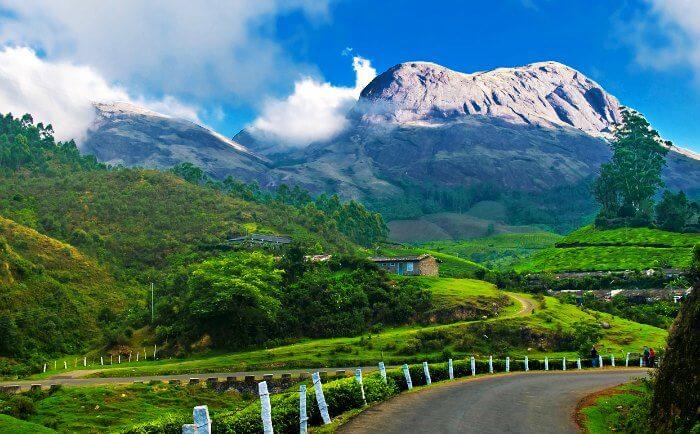 A honeymoon in Munnar will leave you spellbound