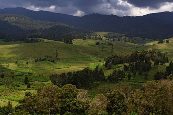 Kodaikanal is an amazing place to visit during monsoons in India