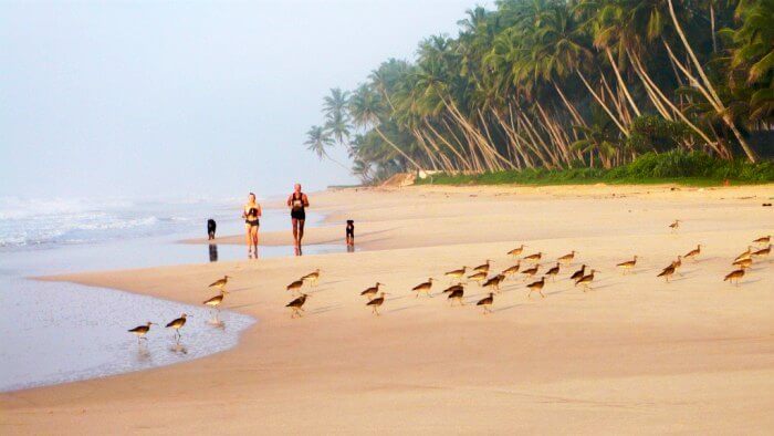 20 Scintillating Beaches In Sri Lanka To Visit In 2019 Soon