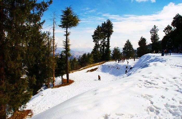 Manali Tour Package From Shimla - Compare Quotes