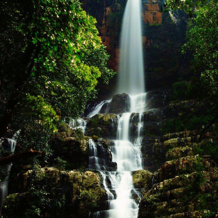One of the best waterfalls near Delhi are the surreal Machhrial falls