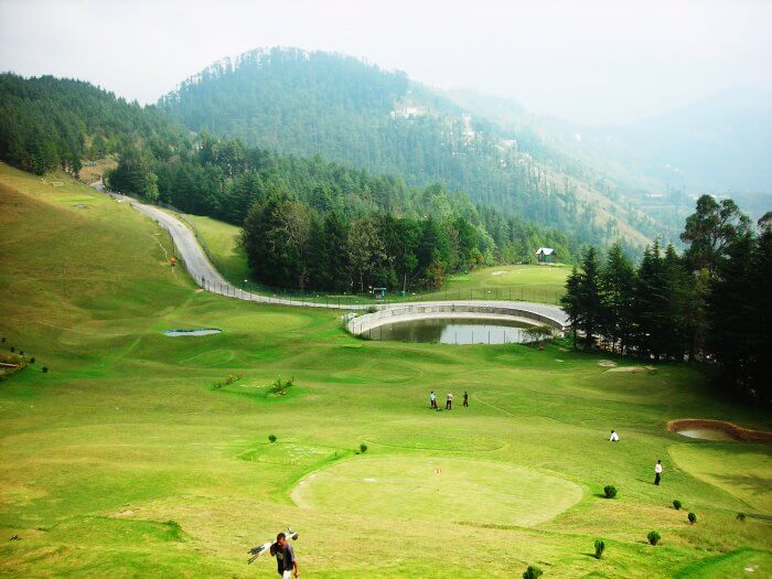 Witness the gorgeous sunrise and sunset views from Naldehra and Shaily Peak