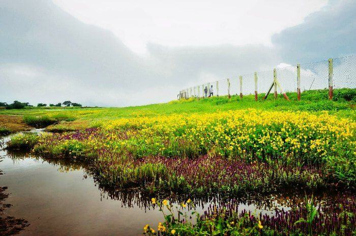 Satara near Pune