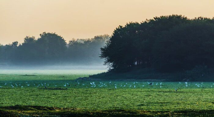 nature in Pune