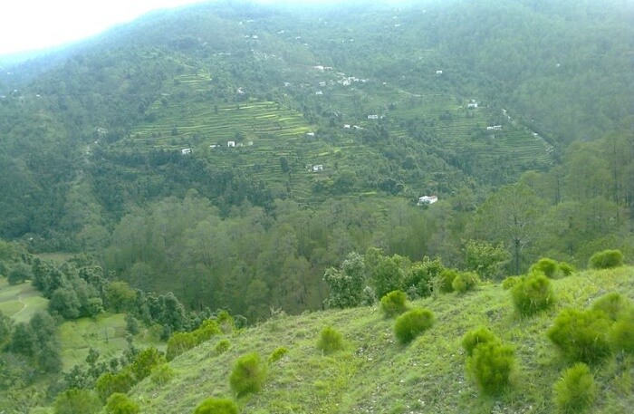 Aarohi, Peora, Uttarakhand