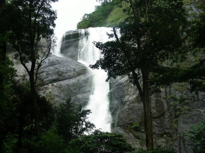 The milky stream of Palaruvi is the best waterfall in Kerala serving as a natural pool for tourists