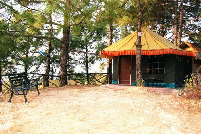 A Parkwood tent camp in Shoghi