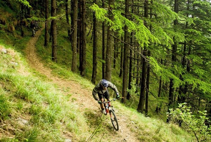 A cyclist biking in the hills of Manali