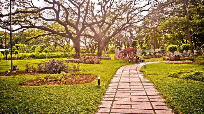A bright day in Semmozhi Poonga Park